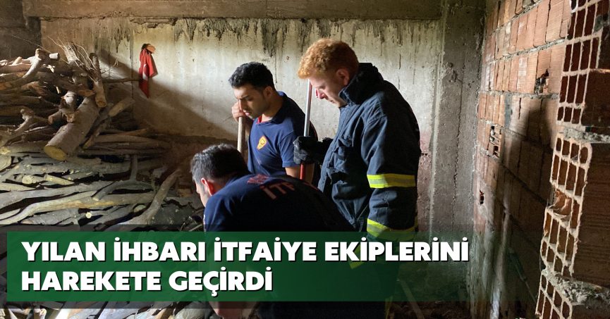 Yılan ihbarı itfaiye ekiplerini harekete geçirdi