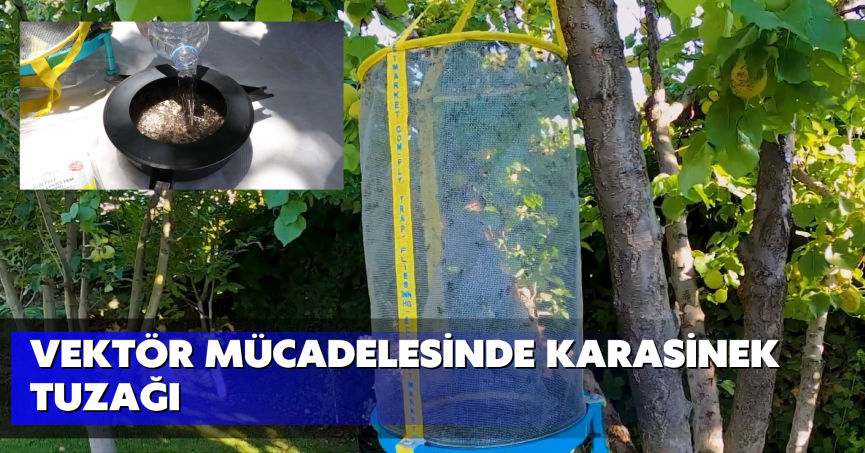 Vektör mücadelesinde karasinek tuzağı