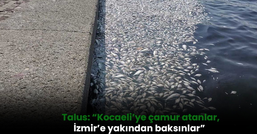 Talus: “Kocaeli’ye çamur atanlar, İzmir’e yakından baksınlar”