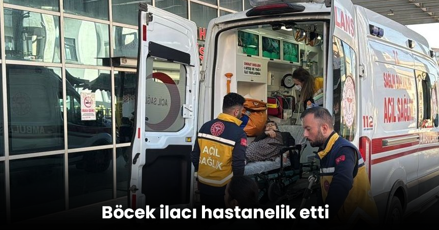 Böcek ilacı hastanelik etti