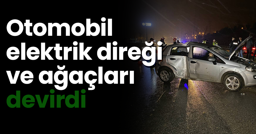 Otomobil elektrik direği ve ağaçları devirdi
