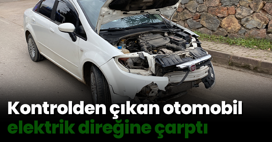 Kontrolden çıkan otomobil elektrik direğine çarptı