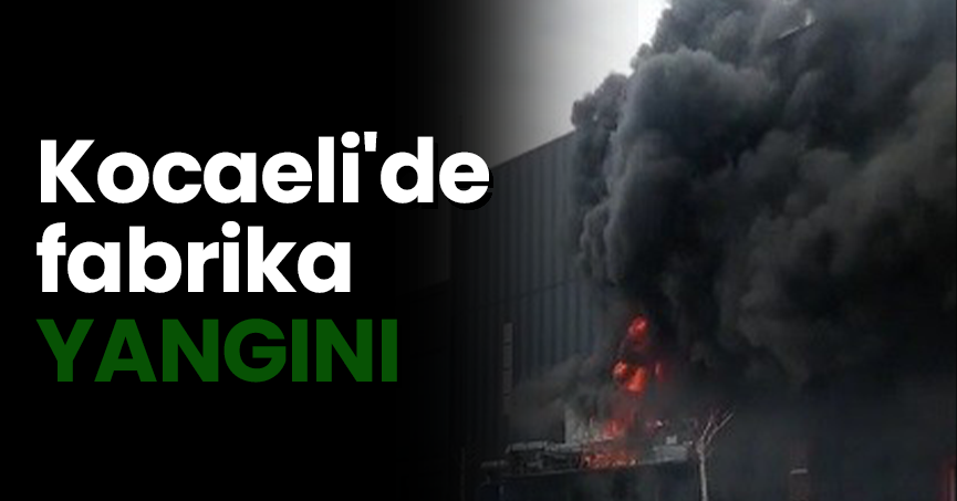 Kocaeli'de fabrika YANGINI