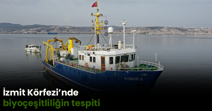 İzmit Körfezi’nde biyoçeşitliliğin tespiti