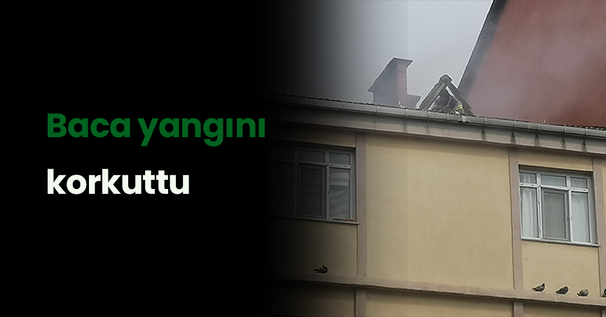 Baca yangını korkuttu