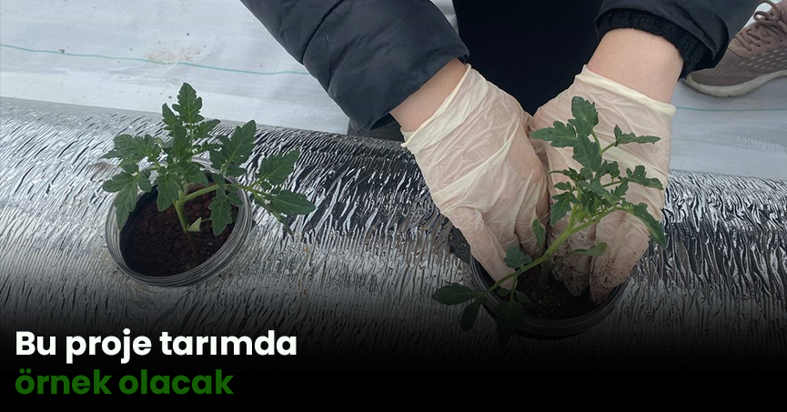 Bu proje tarımda örnek olacak