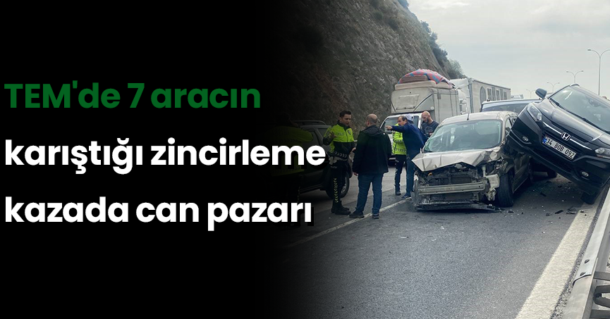 TEM'de 7 aracın karıştığı zincirleme kazada can pazarı