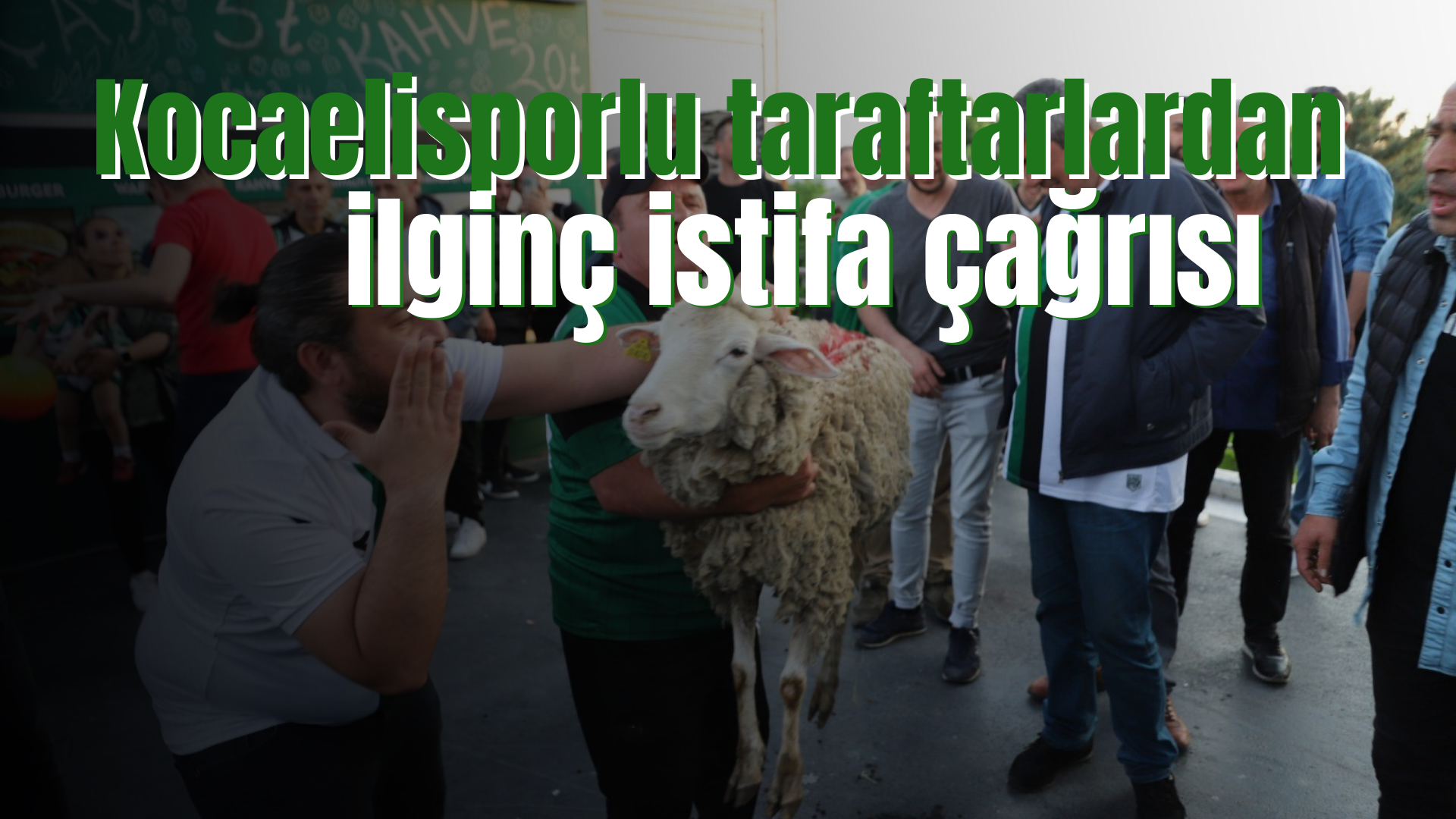 Kocaelisporlu taraftarlardan ilginç istifa çağrısı