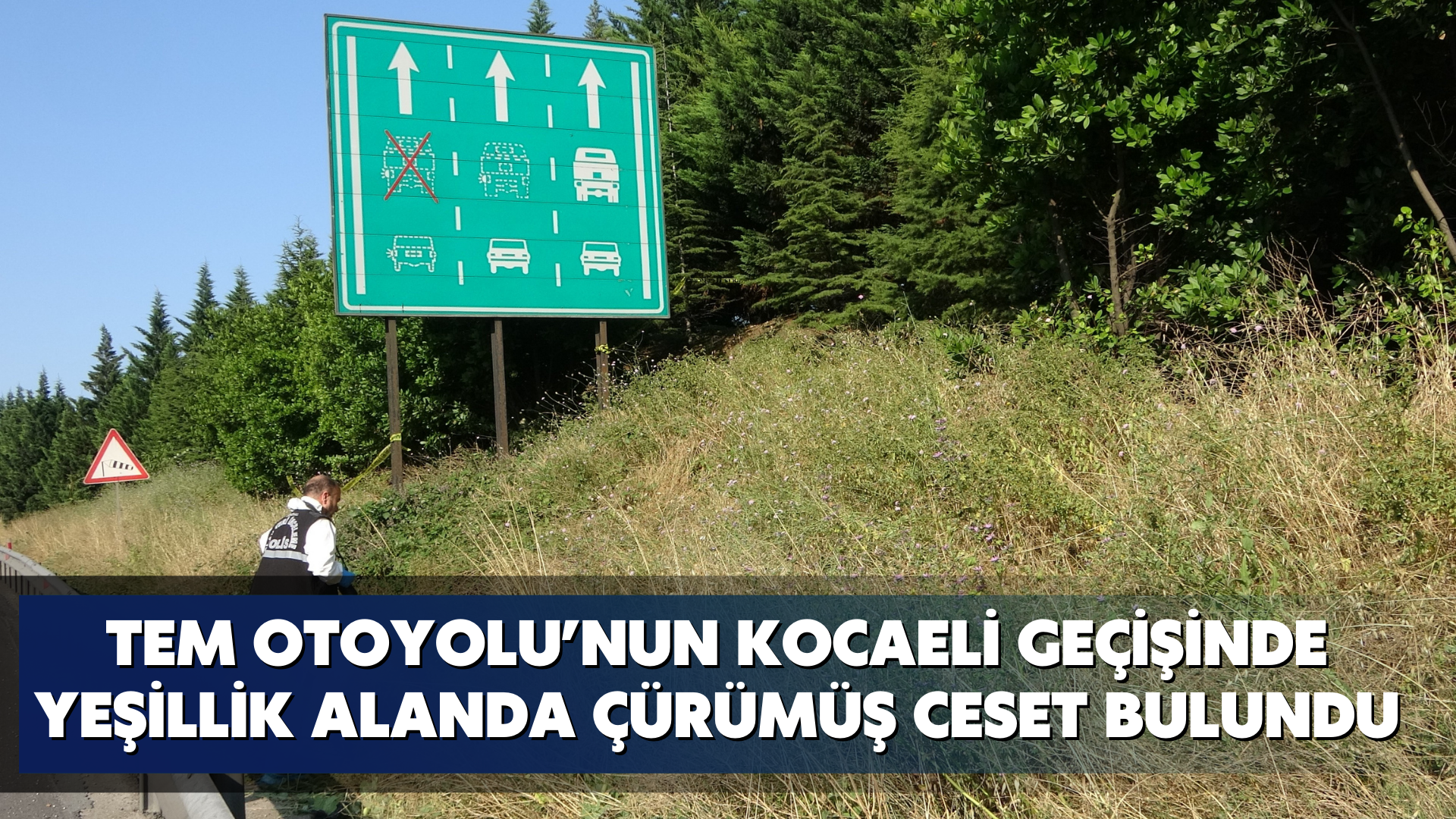 Tem Otoyolu’nun Kocaeli geçişinde yeşillik alanda çürümüş ceset bulundu