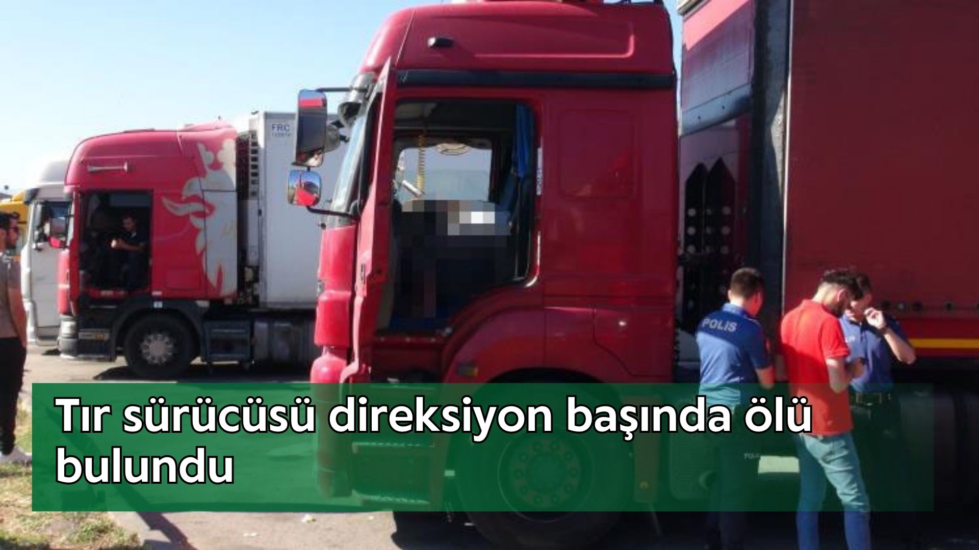 Tır sürücüsü direksiyon başında ölü bulundu