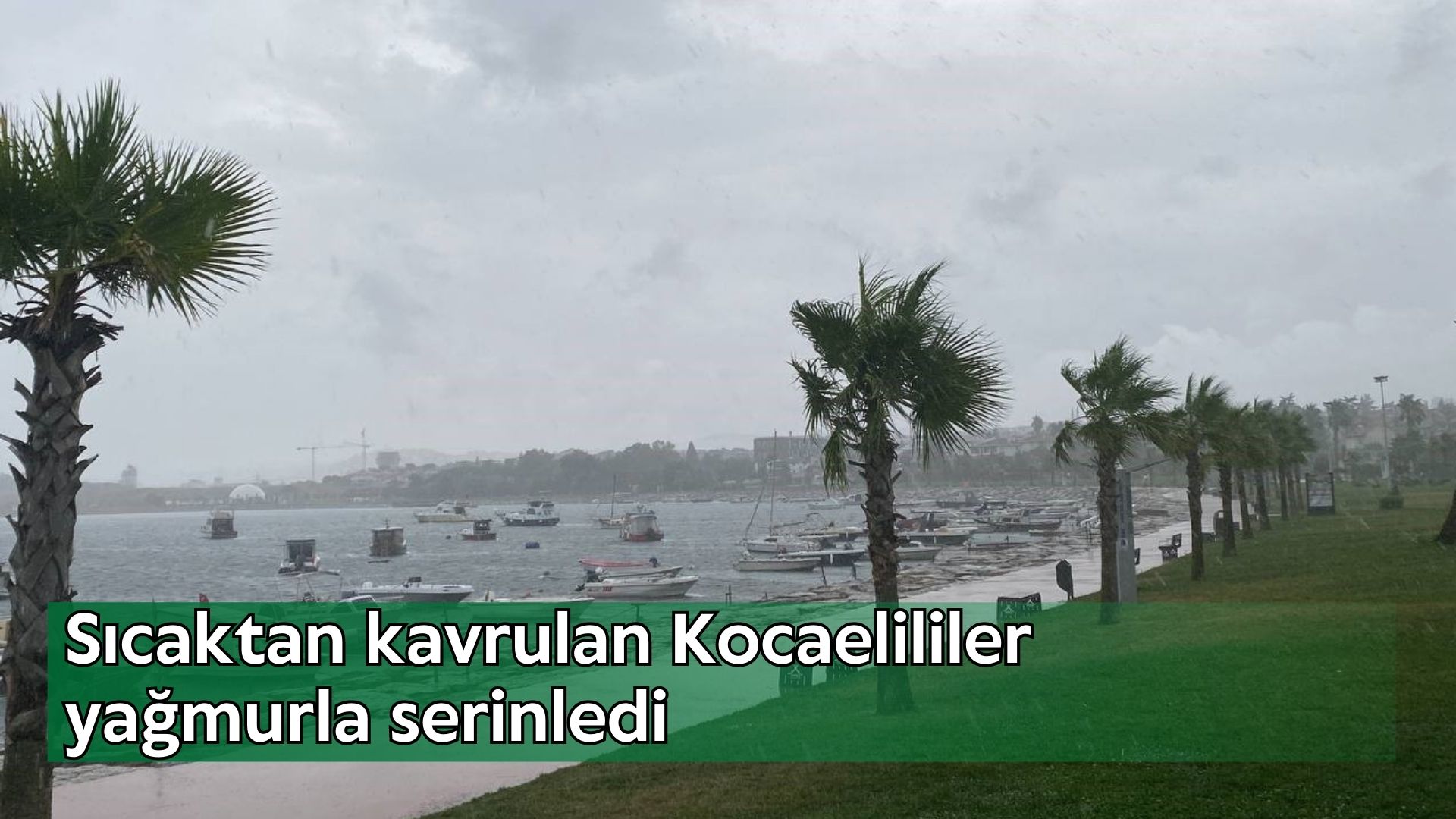 Sıcaktan kavrulan Kocaelililer yağmurla serinledi
