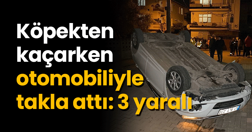 Köpekten kaçarken otomobiliyle takla attı: 3 yaralı