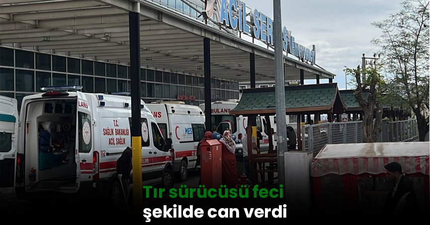 Tır sürücüsü feci şekilde can verdi