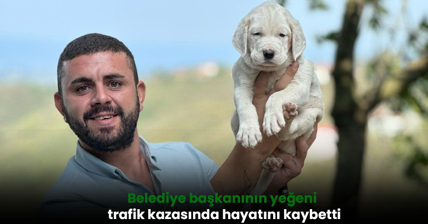Belediye başkanının yeğeni trafik kazasında hayatını kaybetti