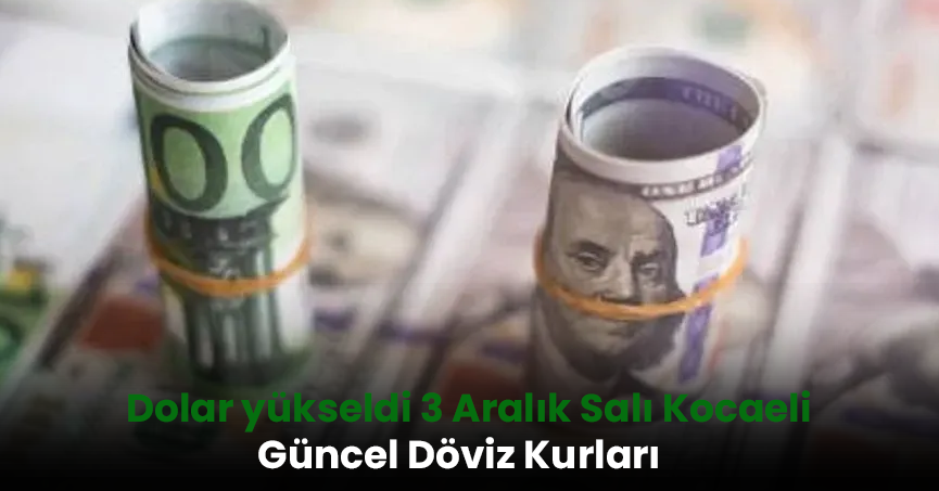Dolar yükseldi, Euro zarar ediyor! 3 Aralık Salı Kocaeli Güncel Döviz Kurları