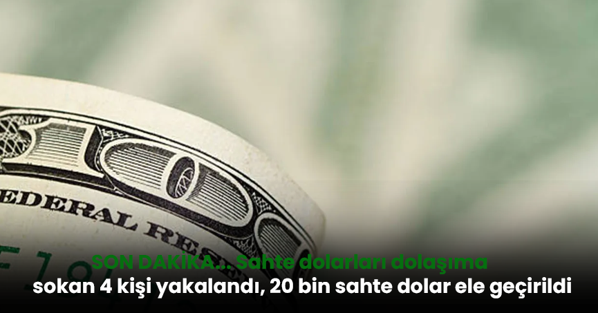 SON DAKİKA... Sahte dolarları dolaşıma sokan 4 kişi yakalandı, 20 bin sahte dolar ele geçirildi