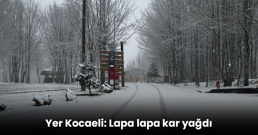 Yer Kocaeli: Lapa lapa kar yağdı