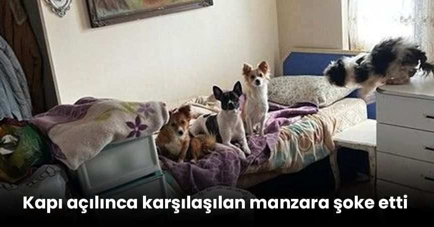 Kapı açılınca karşılaşılan manzara şoke etti