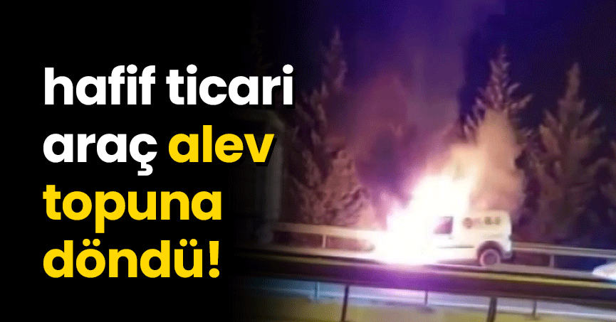 TEM’de yanan hafif ticari araç alev topuna döndü