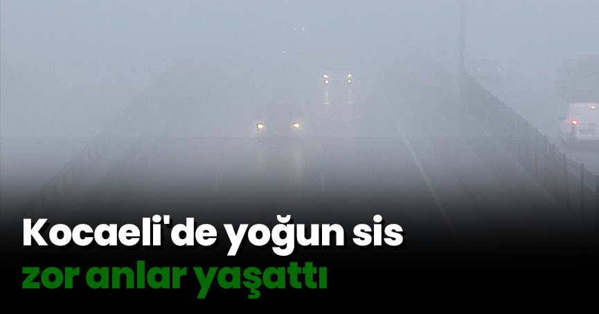 Kocaeli'de yoğun sis