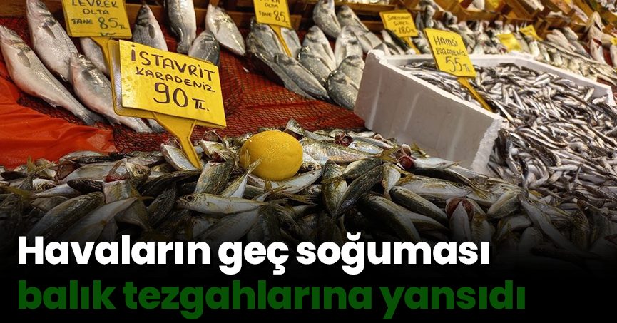 Havaların geç soğuması balık tezgahlarına yansıdı