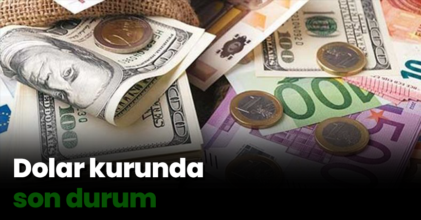 Dolar kurunda son durum