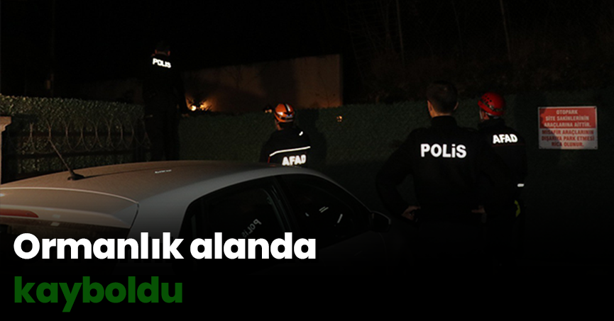 Ormanlık alanda kayboldu