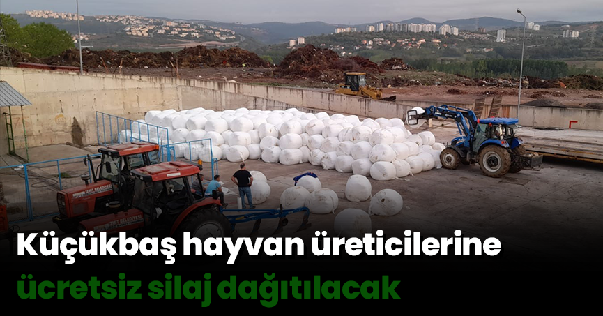 Küçükbaş hayvan üreticilerine ücretsiz silaj dağıtılacak