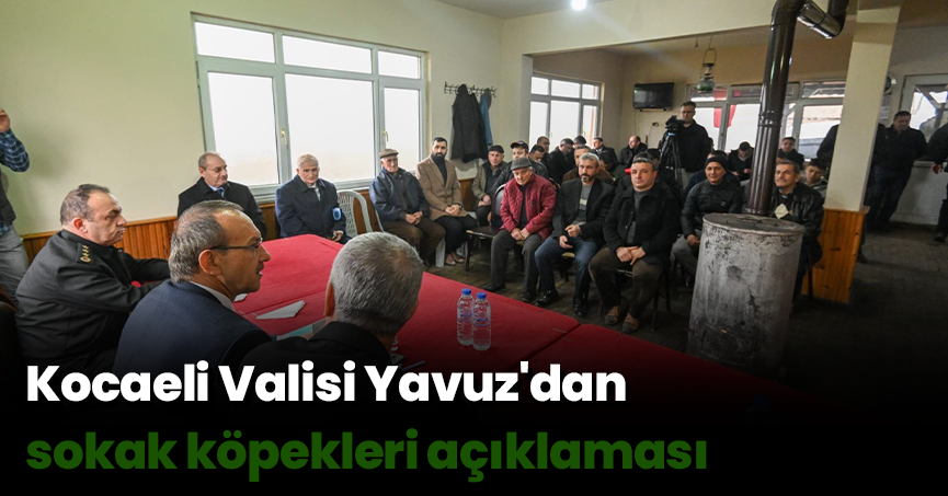 Kocaeli Valisi Yavuz'dan sokak köpekleri açıklaması