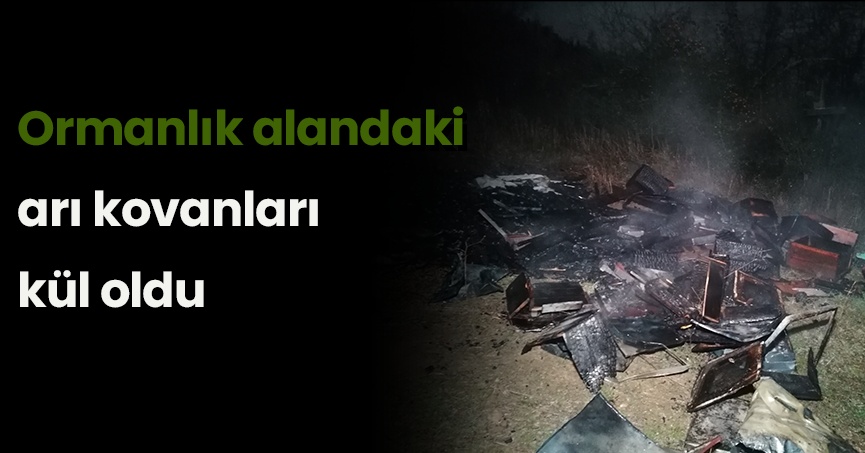 Ormanlık alandaki arı kovanları kül oldu