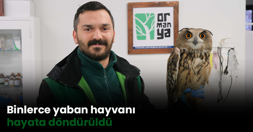 Binlerce yaban hayvanı hayata döndürüldü