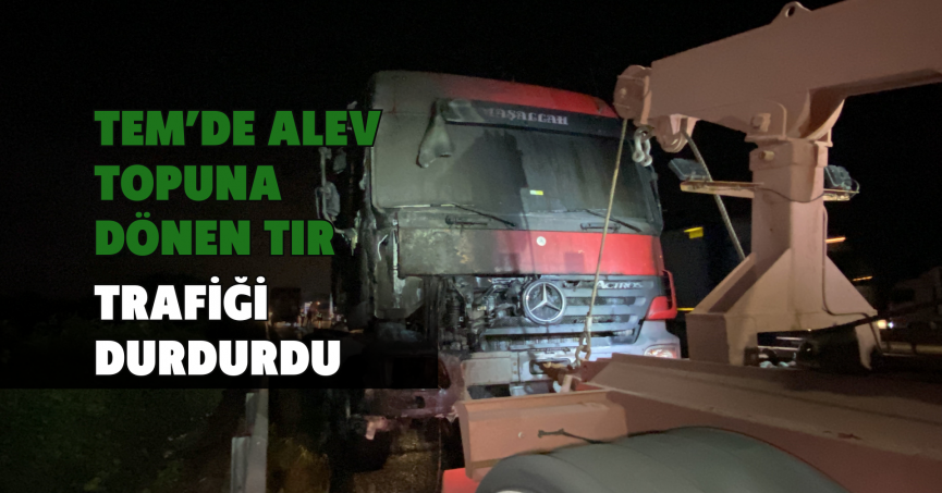 TEM’de alev topuna dönen tır trafiği durdurdu