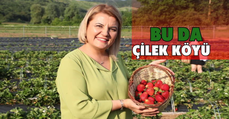 Bu da çilek köyü
