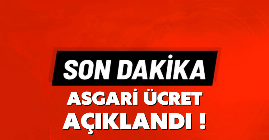 Asgari ücret açıklandı !