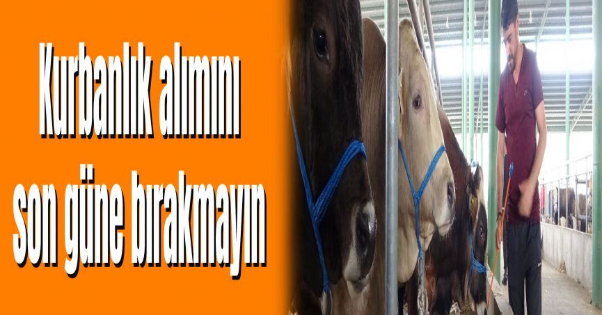 Kurbanlık alımını son güne bırakmayın