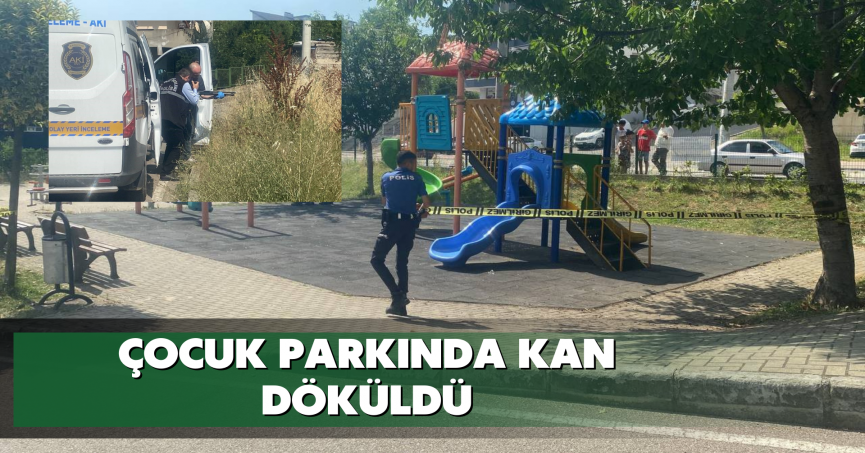 Çocuk parkında kan döküldü