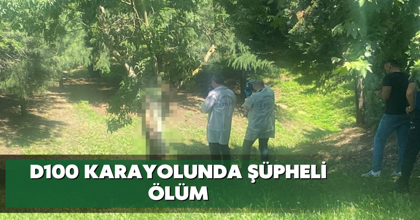 D100 Karayolunda şüpheli ölüm