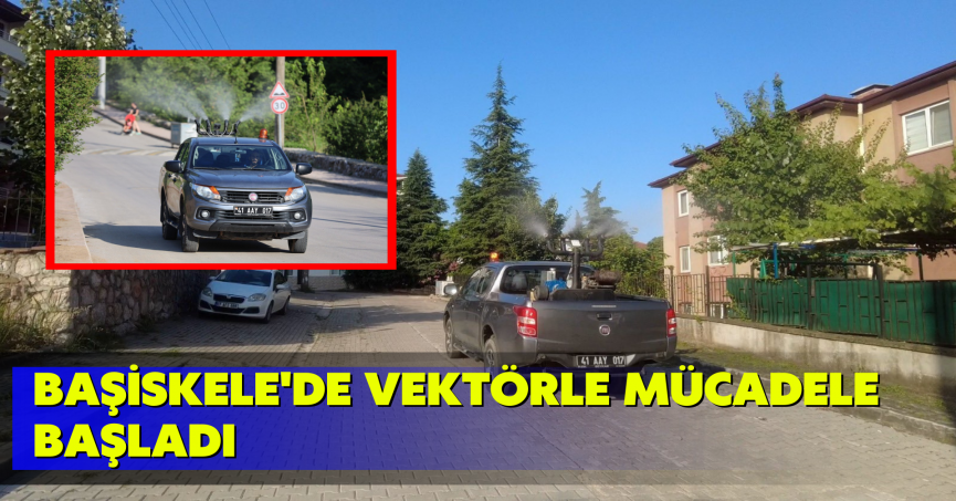 Başiskele'de vektörle mücadele başladı