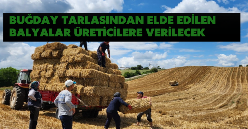 Buğday tarlasından elde edilen balyalar üreticilere verilecek