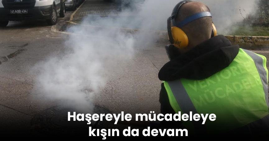 Haşereyle mücadeleye kışın da devam