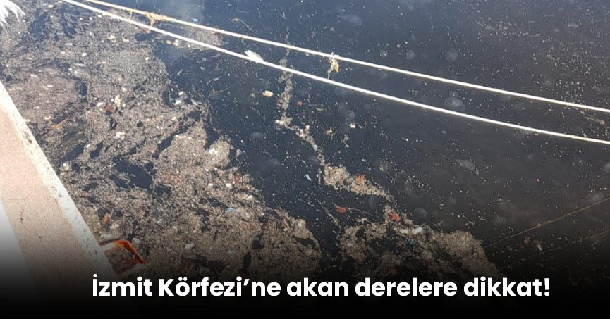 İzmit Körfezi’ne akan derelere dikkat!