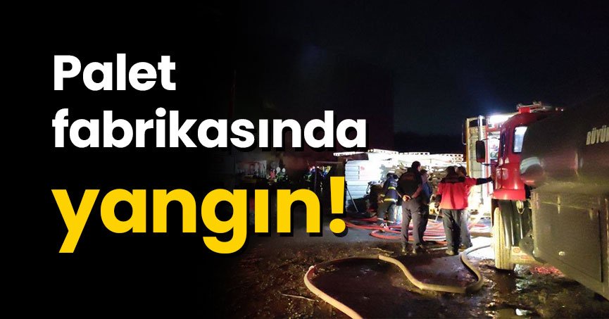 Palet fabrikasında yangın