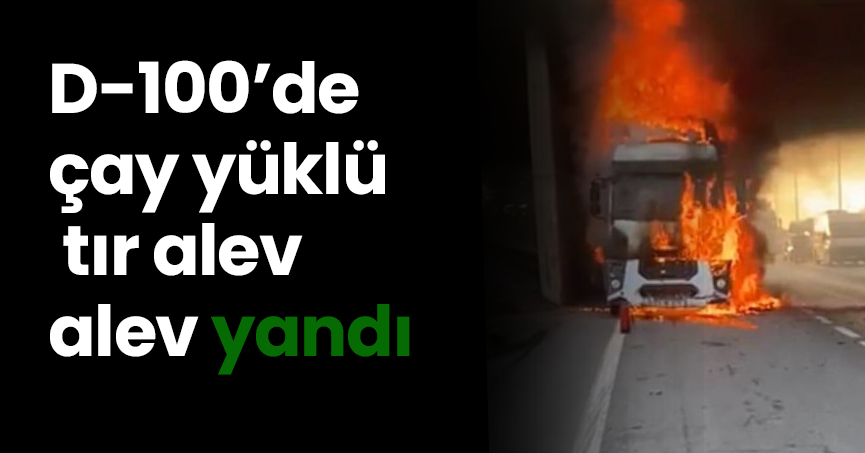 D-100’de çay yüklü tır alev alev yandı
