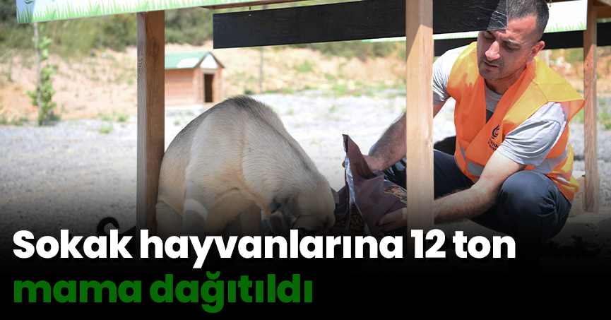 Sokak hayvanlarına 12 ton mama dağıtıldı