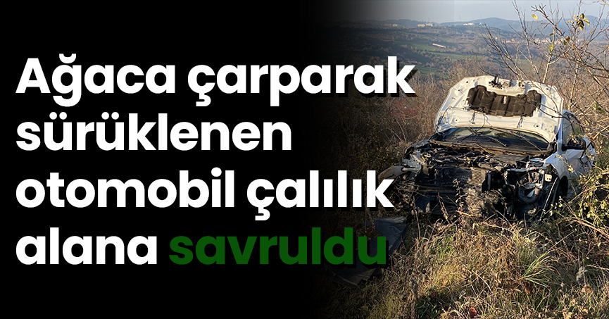 Ağaca çarparak sürüklenen otomobil çalılık alana savruldu