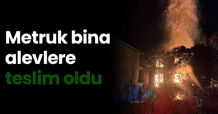 Metruk bina alevlere teslim oldu