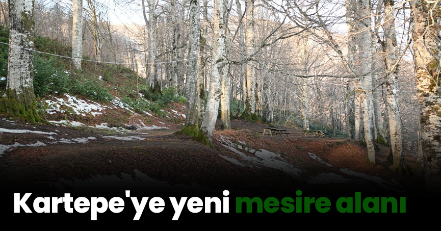 Kartepe'ye yeni mesire alanı