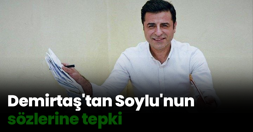 Demirtaş'tan Soylu'nun sözlerine tepki