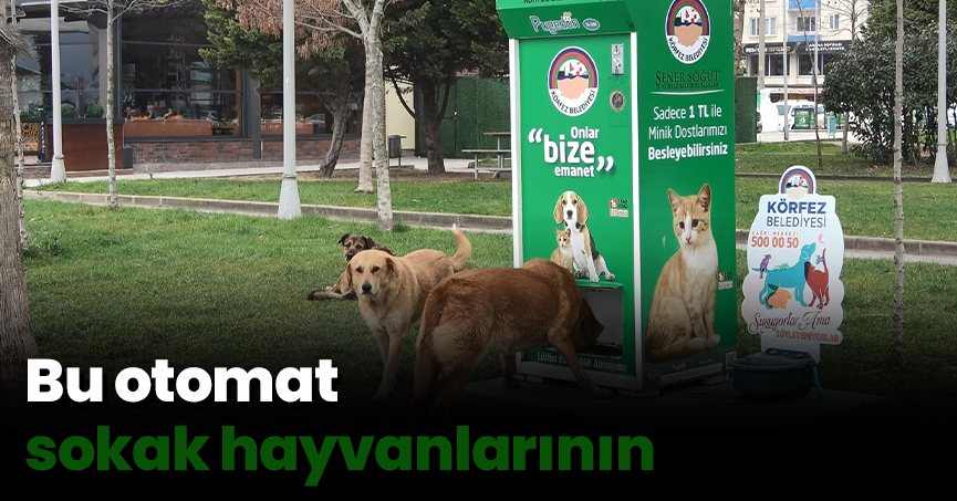 Bu otomat sokak hayvanlarının