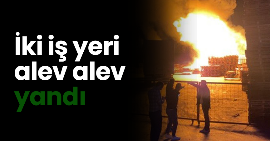İki iş yeri alev alev yandı